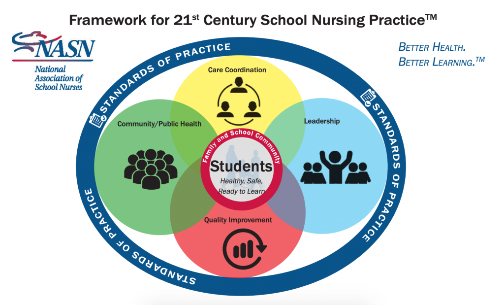 framework for nursing practice