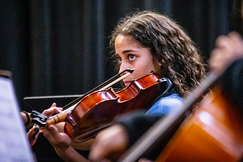 photo of female violin player